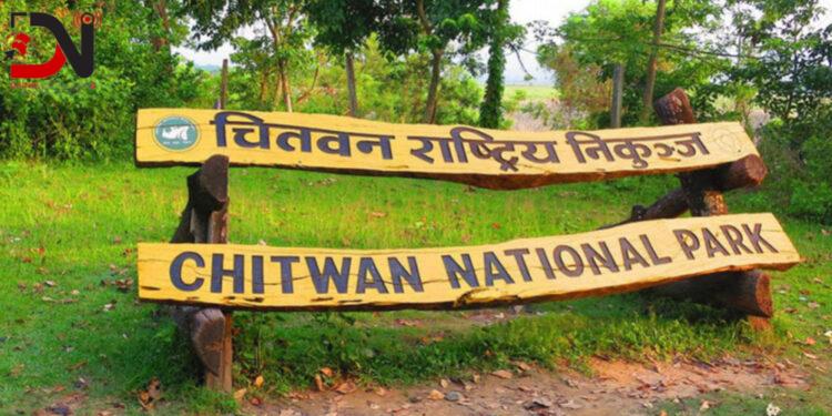 चितवन निकुञ्जद्वारा नियमविपरीत काम गर्ने ६५ जनालाई कारबाही