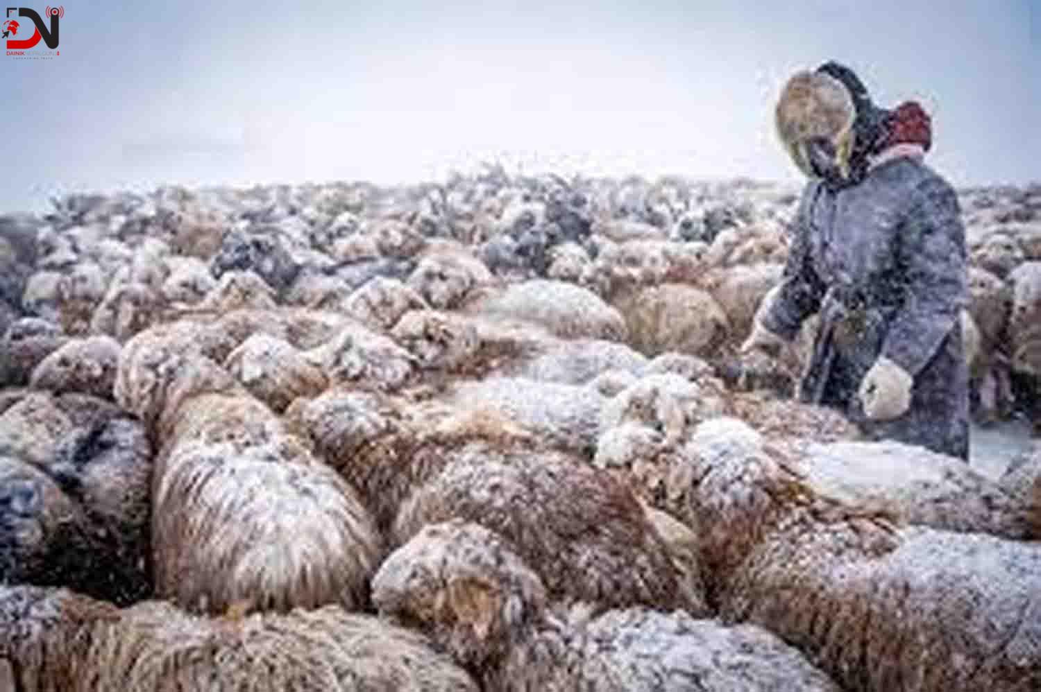 मङ्गोलियाको ६० प्रतिशतभन्दा बढी भूभागमा हिउँ