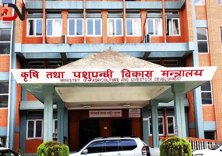 ‘जडीबुटी खाएका पशुको मासुको माग विदेशमा बढ्दै’