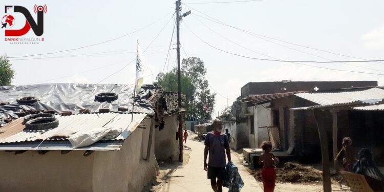 फेरिएन किंगरिया समुदायको अवस्था