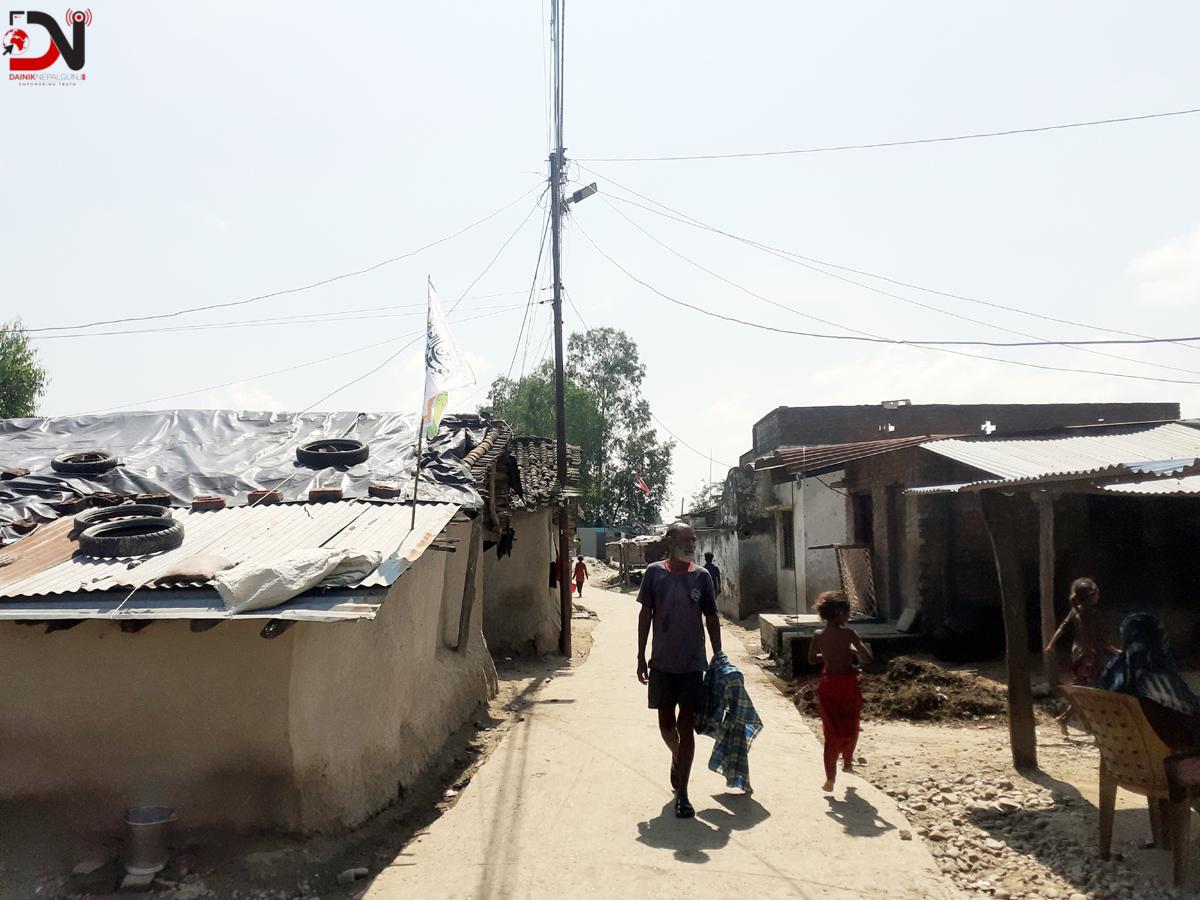 फेरिएन किंगरिया समुदायको अवस्था