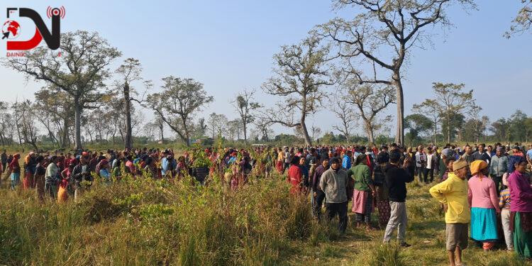 पाटे बाघको आक्रमणबाट बर्दियाको ठाकुरबाबा नगरपालिमा एक महिलाको ज्यान गयो