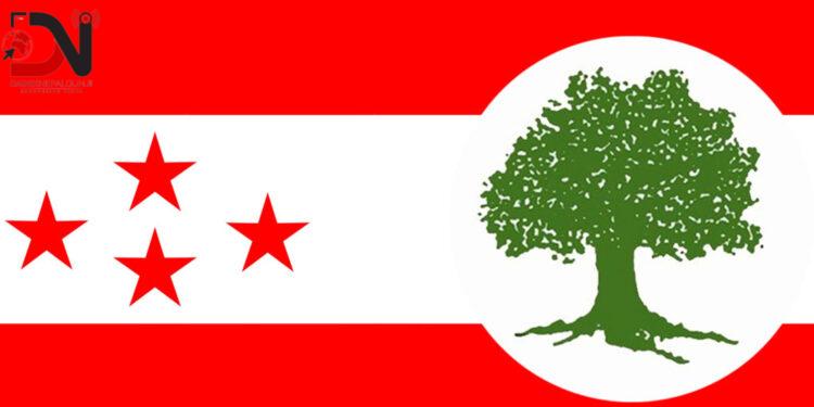 वीपी मार्गमा काँग्रेस क्षेत्र नं.१ को पदयात्रा