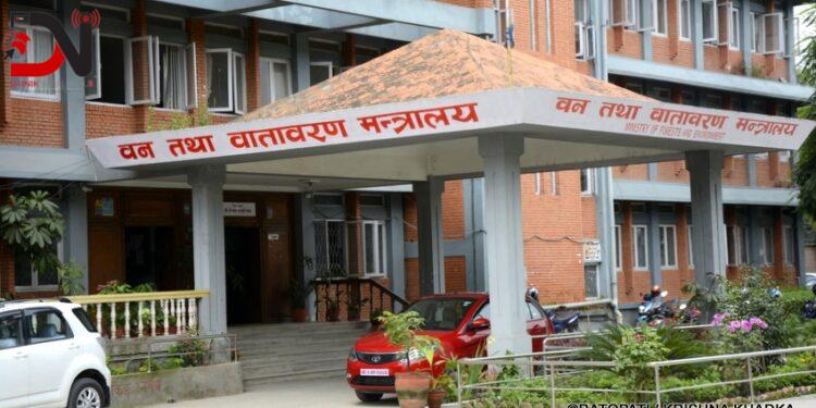 वन मन्त्रालयका ६ महिना : कानुनी र नीतिगत सुधारमा जोड