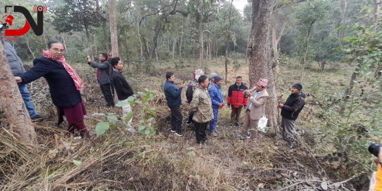बाँकेको सामुदायिक वनमा लाहाखेती विस्तार