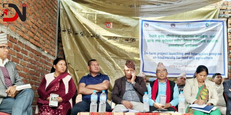 बाँकेमा रैथाने बीउको संरक्षण र उपयोग सुरु