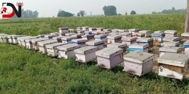 मह आयात रोक्न माग