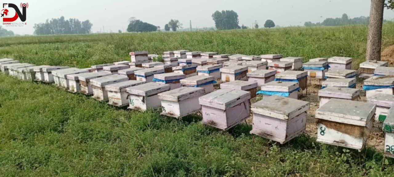 मह आयात रोक्न माग