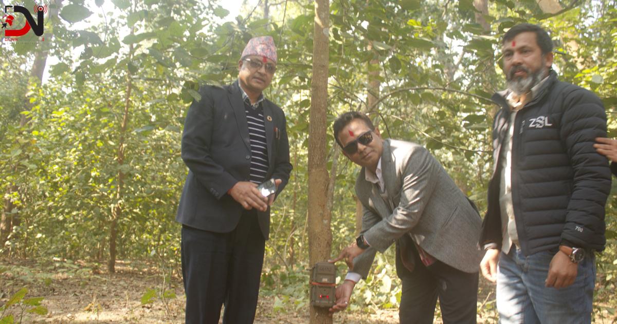 मानव र वन्यजन्तु द्वन्द्व घटाउन कम्दी करिडोरमा ९५ वटा क्यामेरा जडान