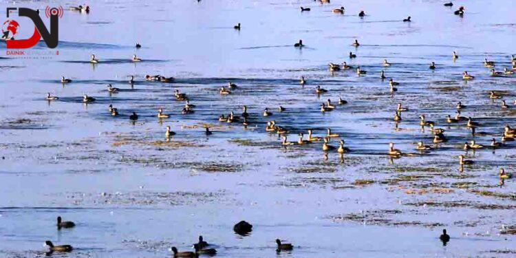 आज विश्व सिमसार दिवस