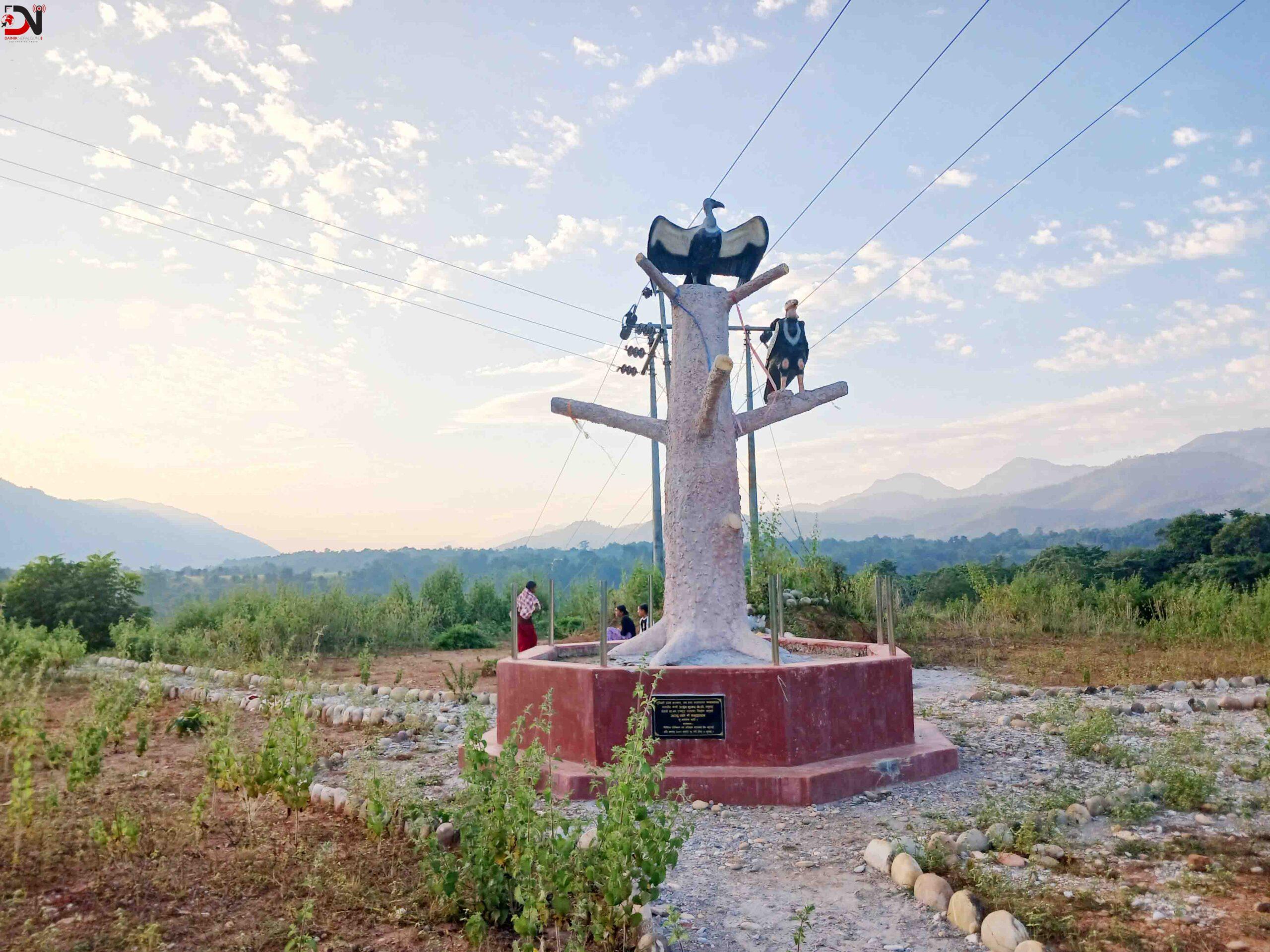 आहार व्यवस्थापनले गिद्धको सङ्ख्या बढ्दै