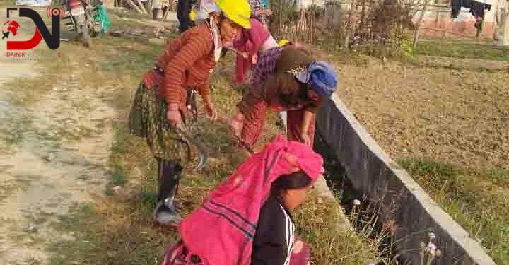 कोहलपुर नगरपालिकाले १२० जना बेरोजगारलाई दियो रोजगारी