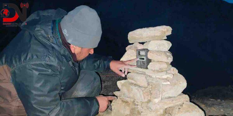 दुर्लभ जीव हिउँ चितुवाको अनुगमन गरिँदै