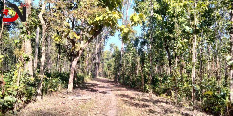 बाँकेमा डढेलो नियन्त्रणका लागि पूर्वतयारी