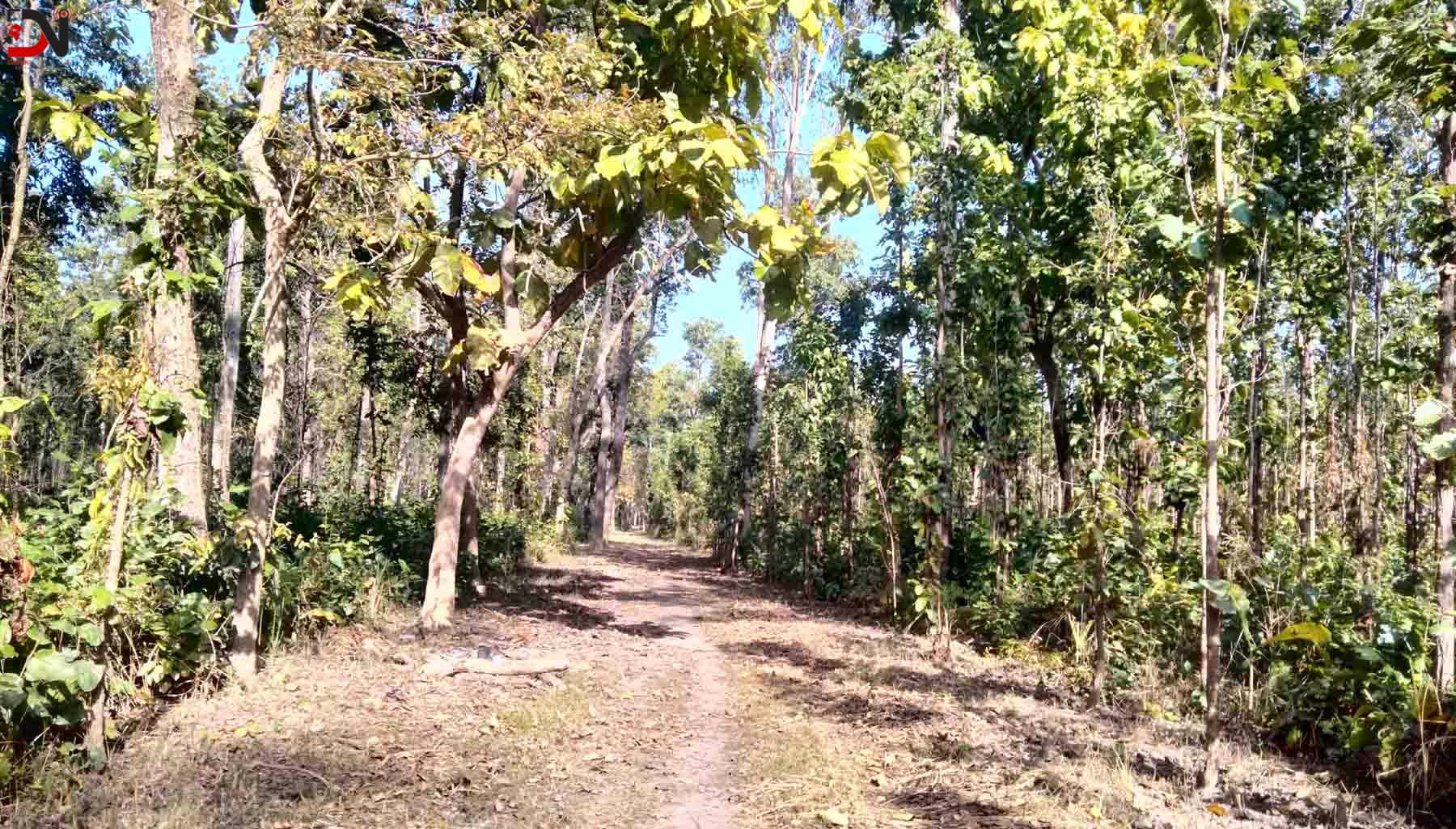 बाँकेमा डढेलो नियन्त्रणका लागि पूर्वतयारी