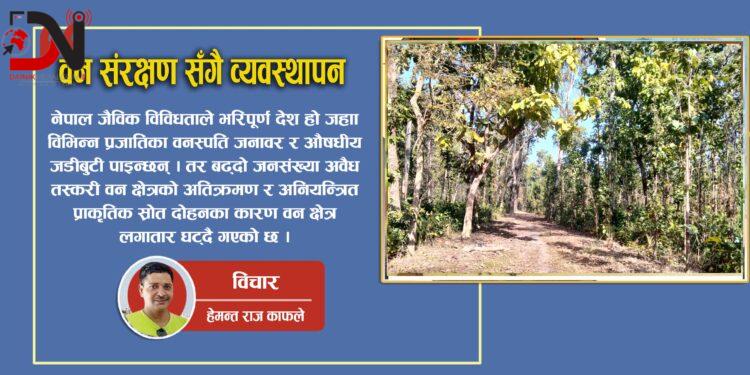 वन संरक्षण सँगै व्यवस्थापन निकै जरुरी