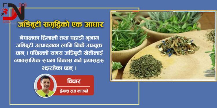 जडिबुटी समृद्धिको एक आधार