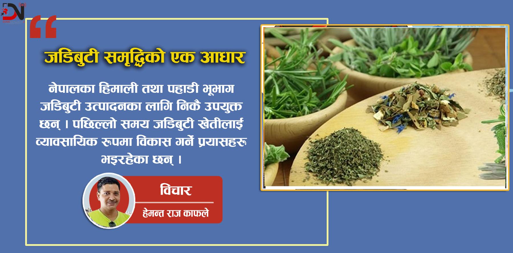 जडिबुटी समृद्धिको एक आधार