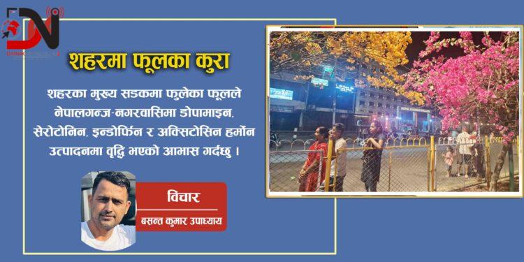 “शहरमा फूलका कुरा”