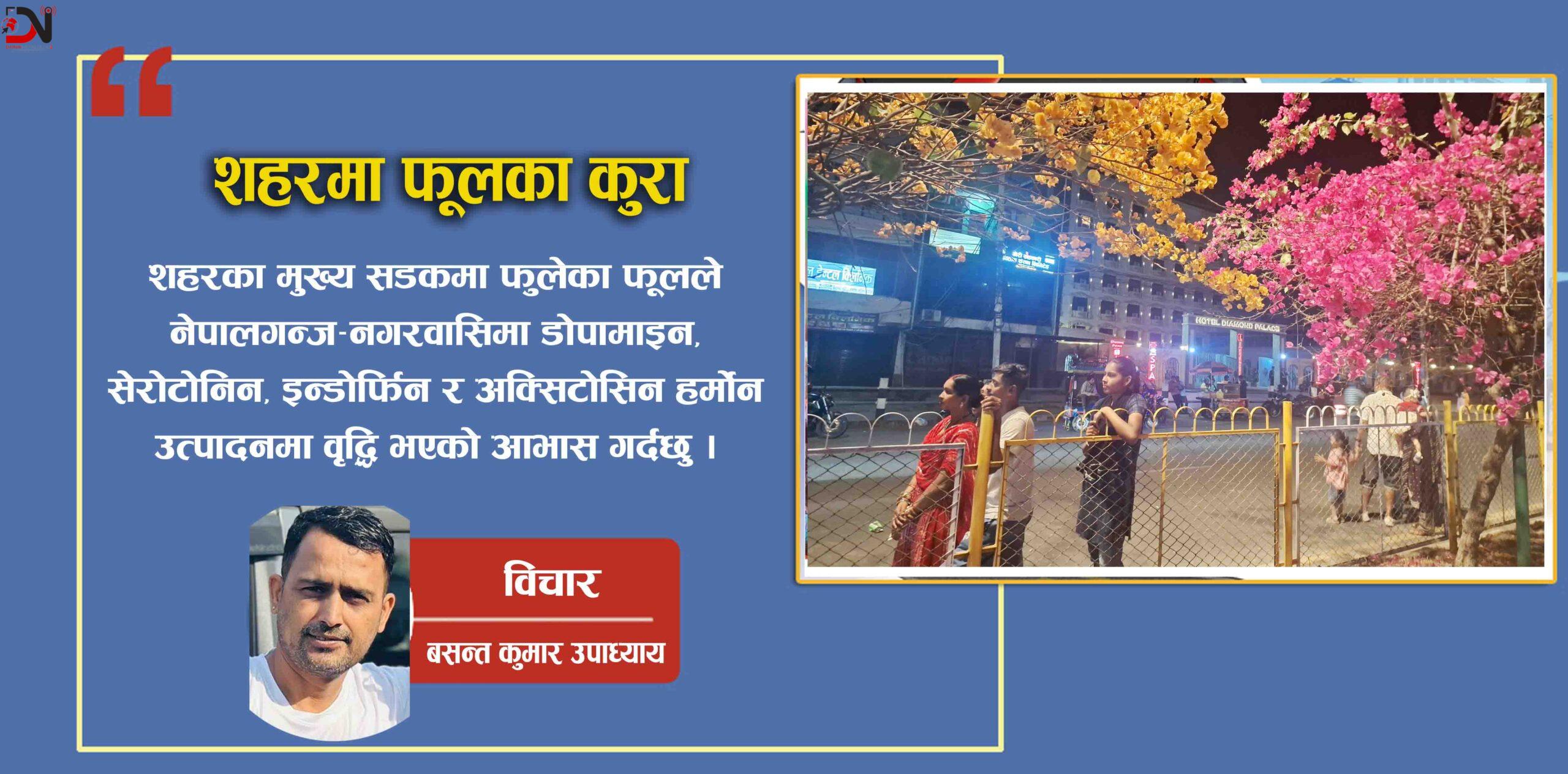 “शहरमा फूलका कुरा”