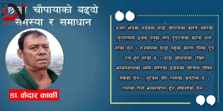 छाडा चौपायाको बढ्दो समस्या र समाधान