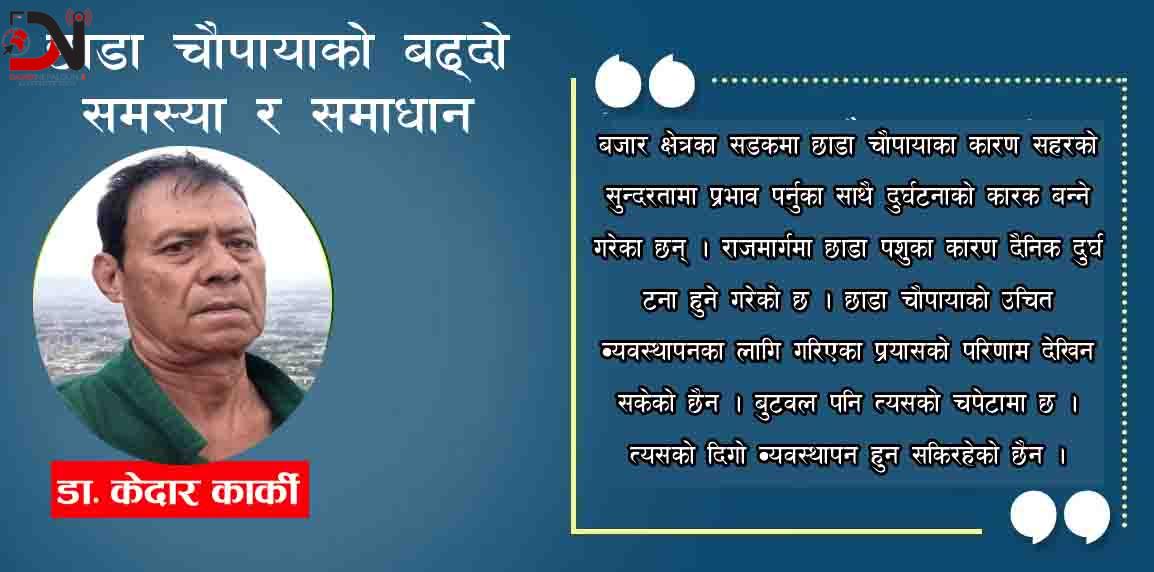 छाडा चौपायाको बढ्दो समस्या र समाधान