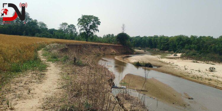 पशु प्रजनन कार्यालयको खेतीयोग्य जमिन कटानमा