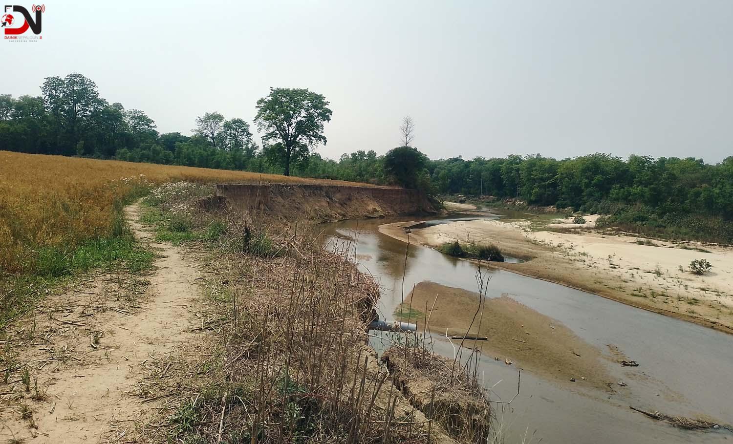 पशु प्रजनन कार्यालयको खेतीयोग्य जमिन कटानमा