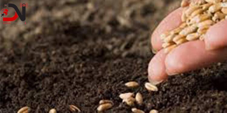 स्थानीय जातको बीउ संरक्षण गर्दै सहकारी संस्था