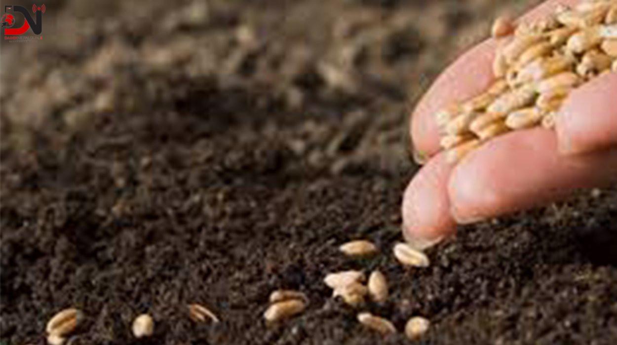 स्थानीय जातको बीउ संरक्षण गर्दै सहकारी संस्था