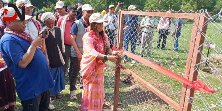 बाँकेमै अब ‘विजयसाल वन’