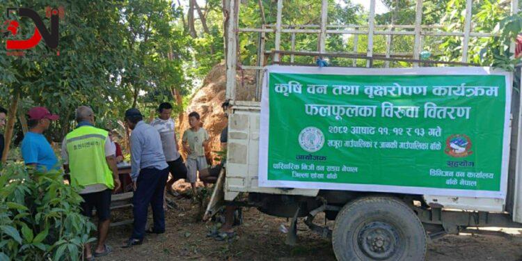 पाँच हजार फलफूलका बिरुवा वितरण