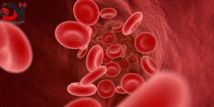 ‘विवाह गर्नुपूर्व सिकलसेल छ वा छैन भन्ने जाँच गराउन आवश्यक हुन्छ’