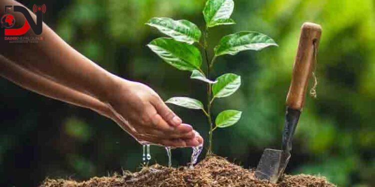 बीसवर्षे ‘सगरमाथा वृक्षरोपण महाअभियान’ घोषणा