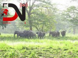 मानव–हात्ती द्वन्द्व न्यूनीकरण गर्न वन मन्त्रालयको पहल