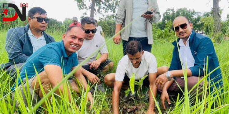 फलफूल बिरुवा रोपियो