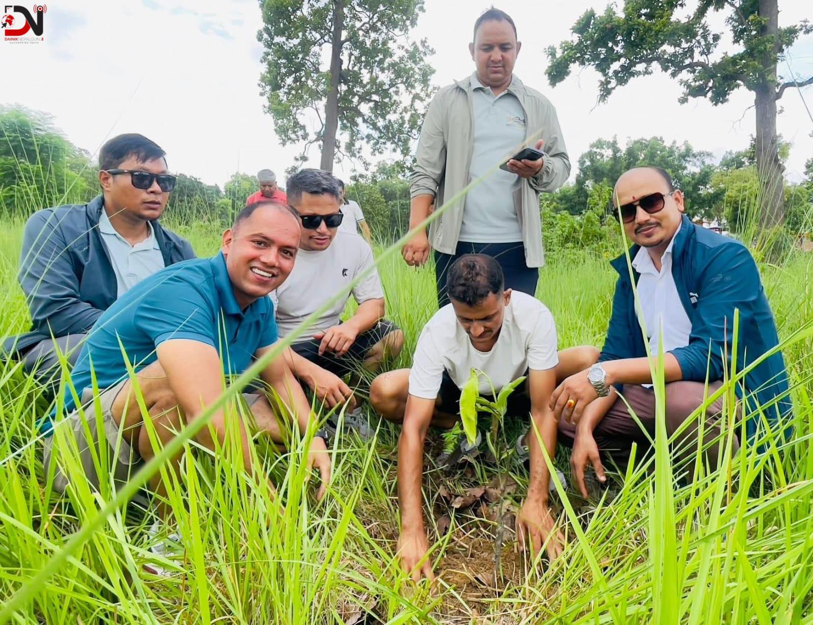 फलफूल बिरुवा रोपियो