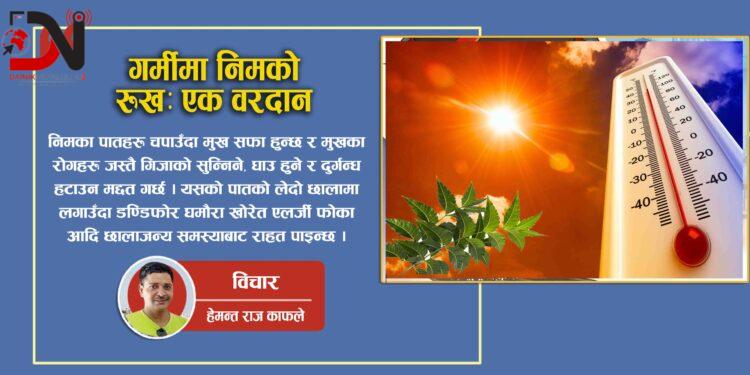गर्मीमा निमको रुखः एक वरदान