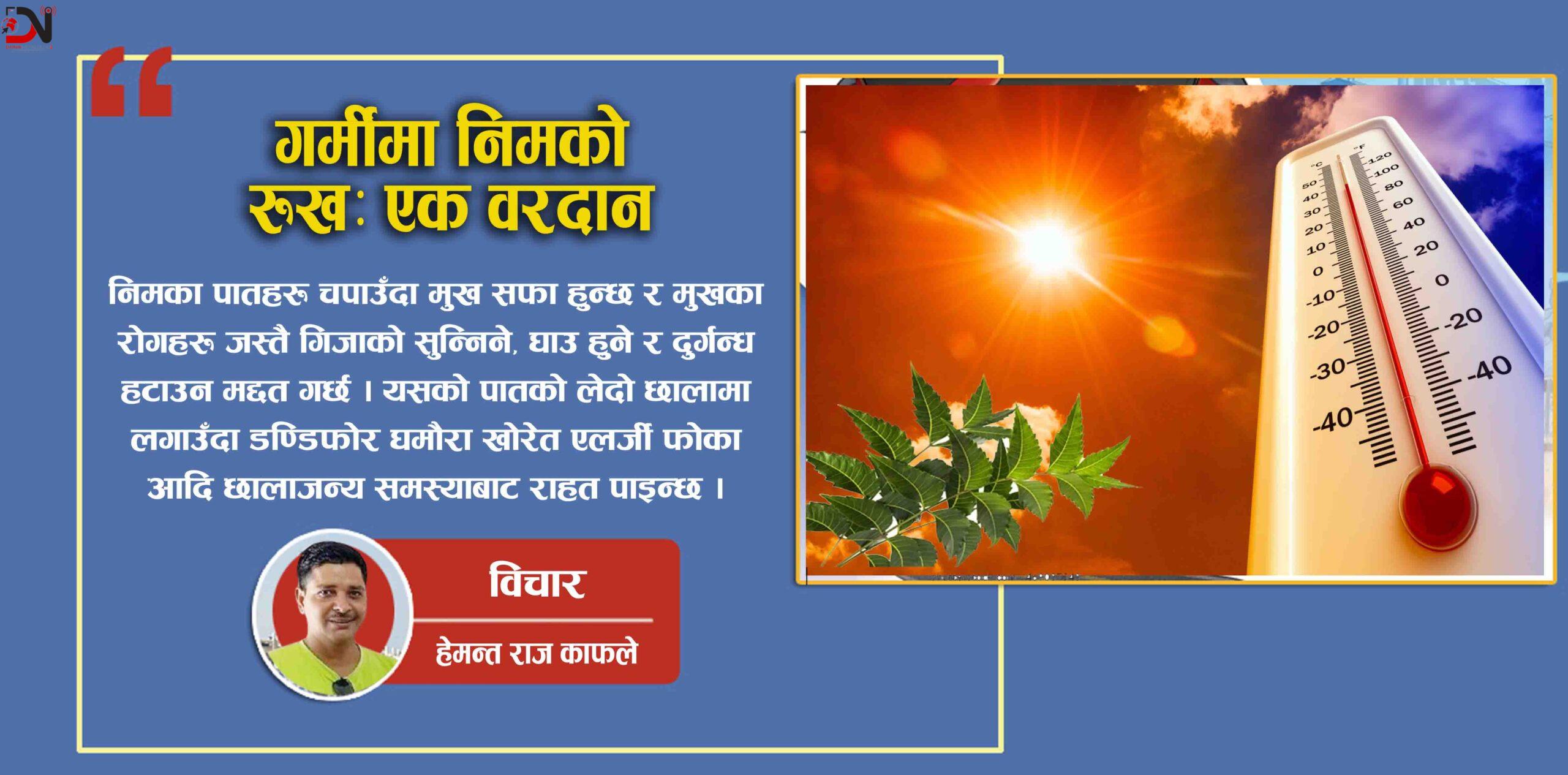 गर्मीमा निमको रुखः एक वरदान