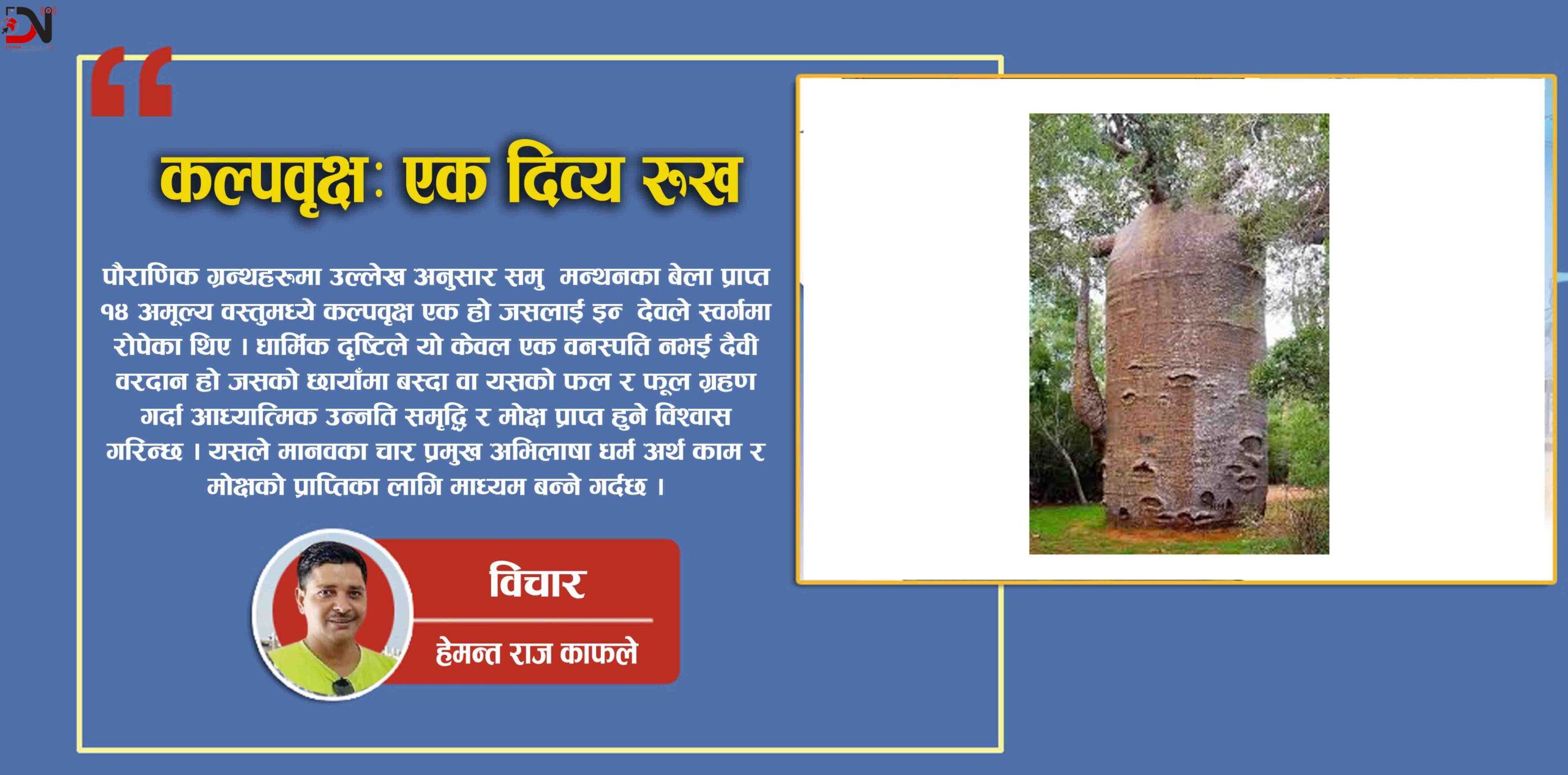 कल्पवृक्षः एक दिव्य रुख