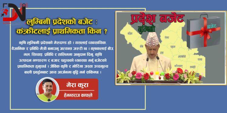 लुम्बिनी प्रदेशको बजेट : कंक्रीटलाई प्राथमिकता किन ?