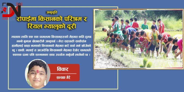 रोपाईंमा किसानको परिश्रम र रियल भ्यालुको दूरी