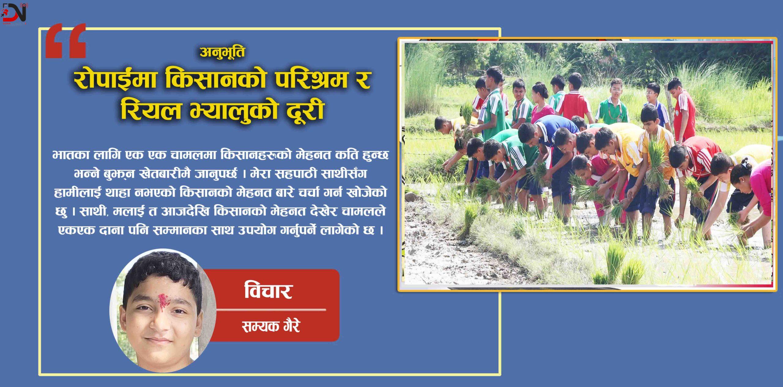 रोपाईंमा किसानको परिश्रम र रियल भ्यालुको दूरी