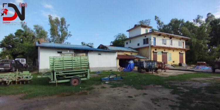 सय हेक्टरमा धानको बीउ उत्पादन गर्दै सहकारी