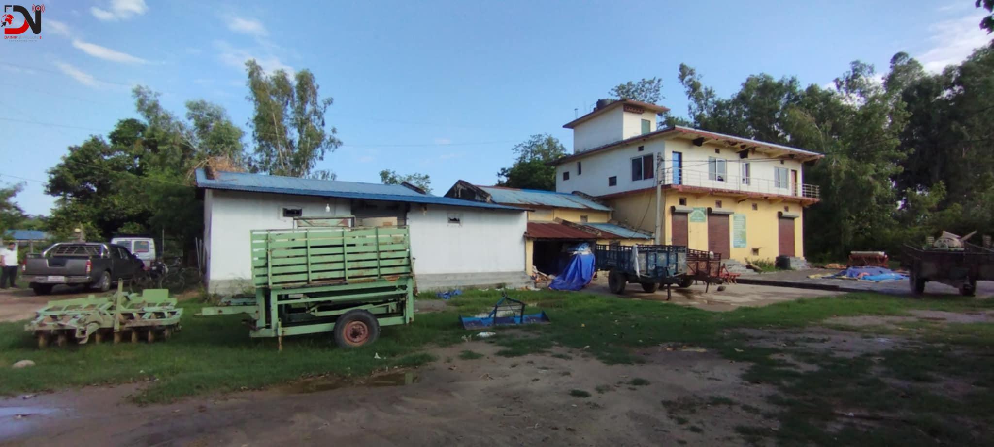 सय हेक्टरमा धानको बीउ उत्पादन गर्दै सहकारी