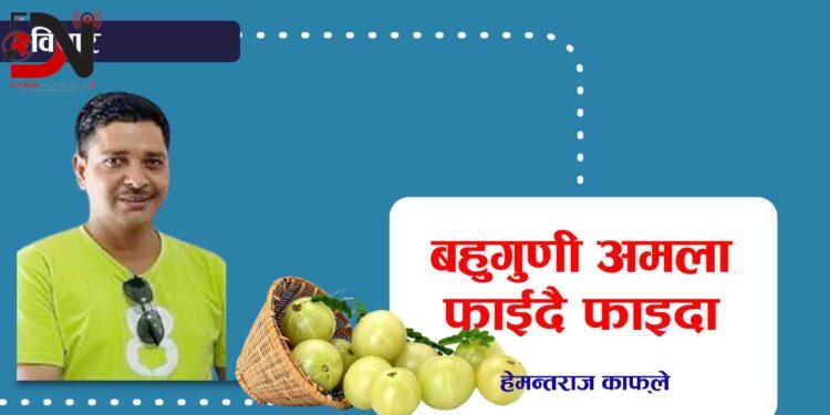 बहुगुणी अमला फाईदै फाइदा