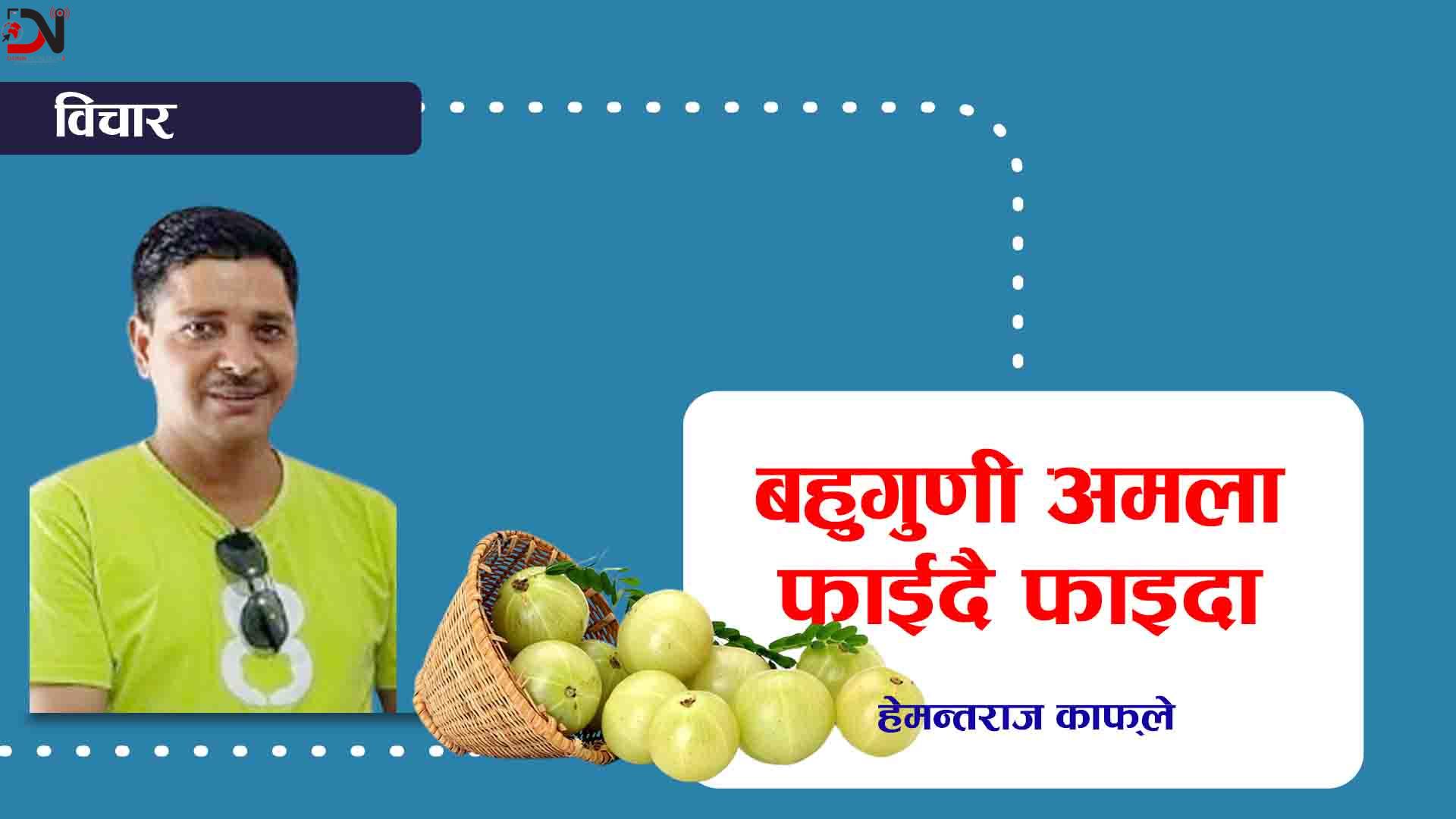 बहुगुणी अमला फाईदै फाइदा