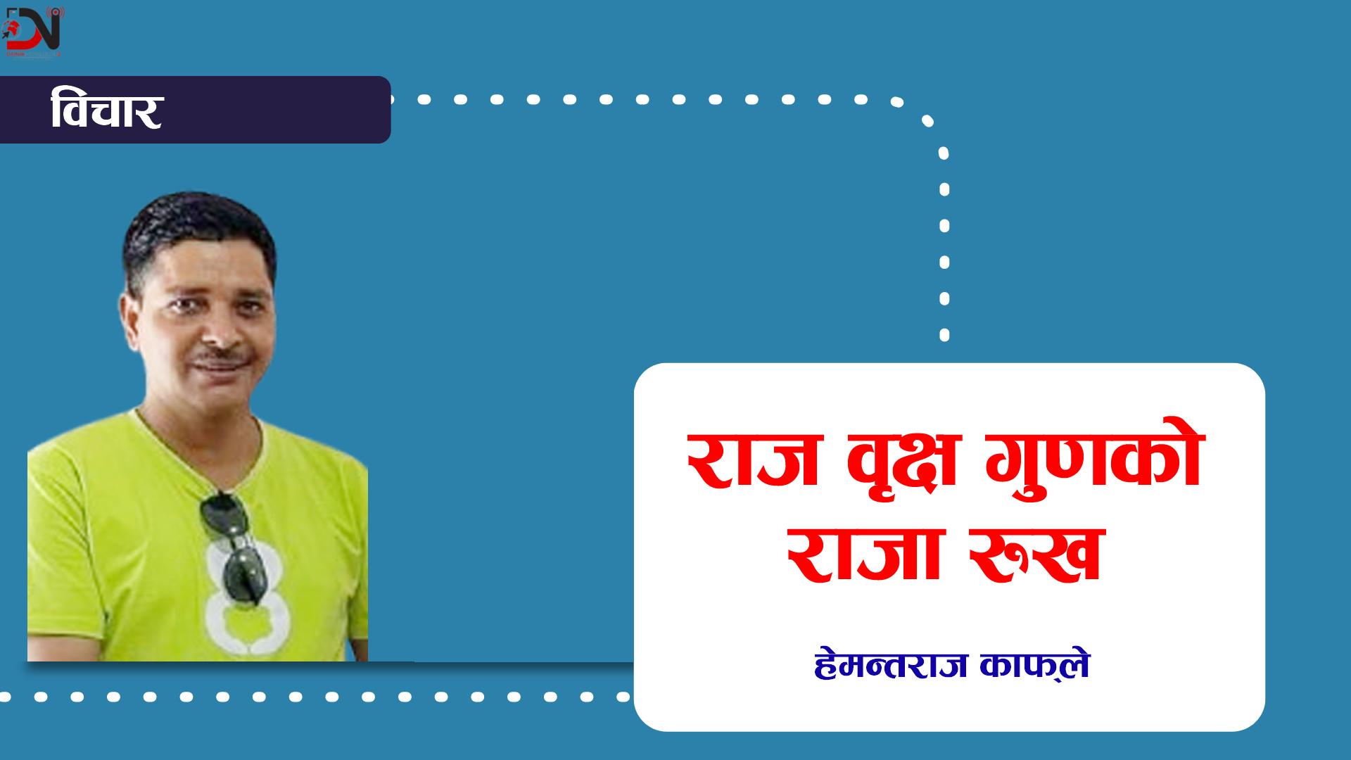 राज वृक्ष गुणको राजा रुख