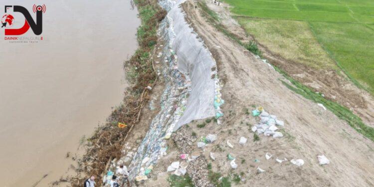 राप्ती नदीमा आपत्कालीन तटबन्ध निर्माण