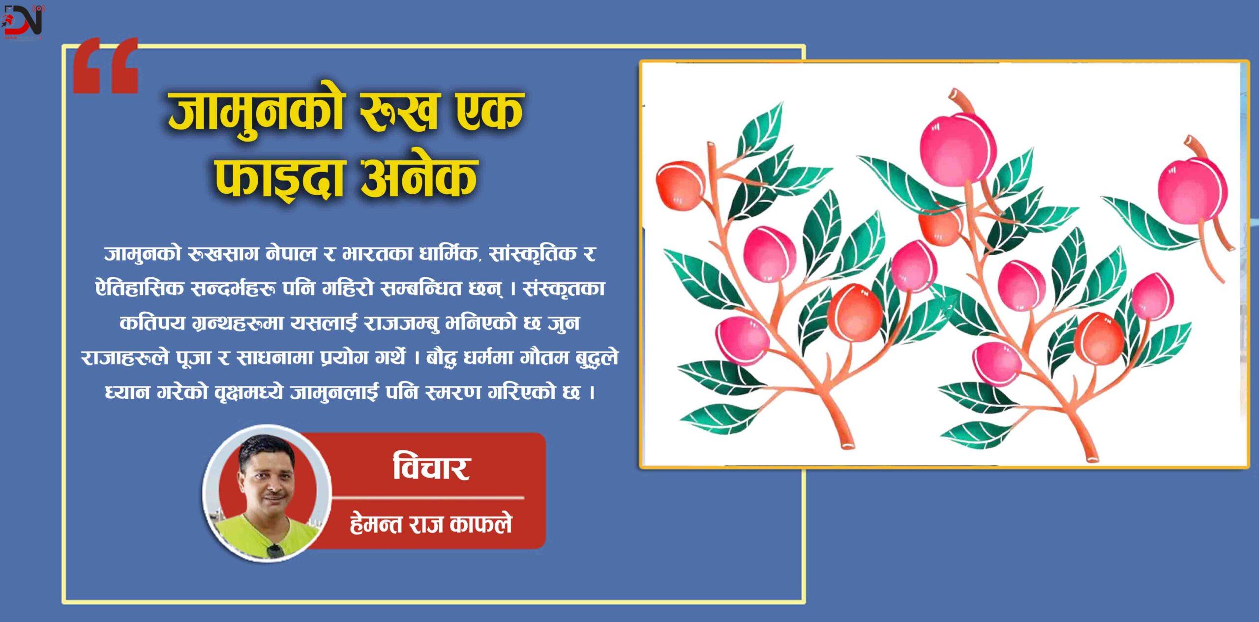 जामुनको रुख एक फाइदा अनेक